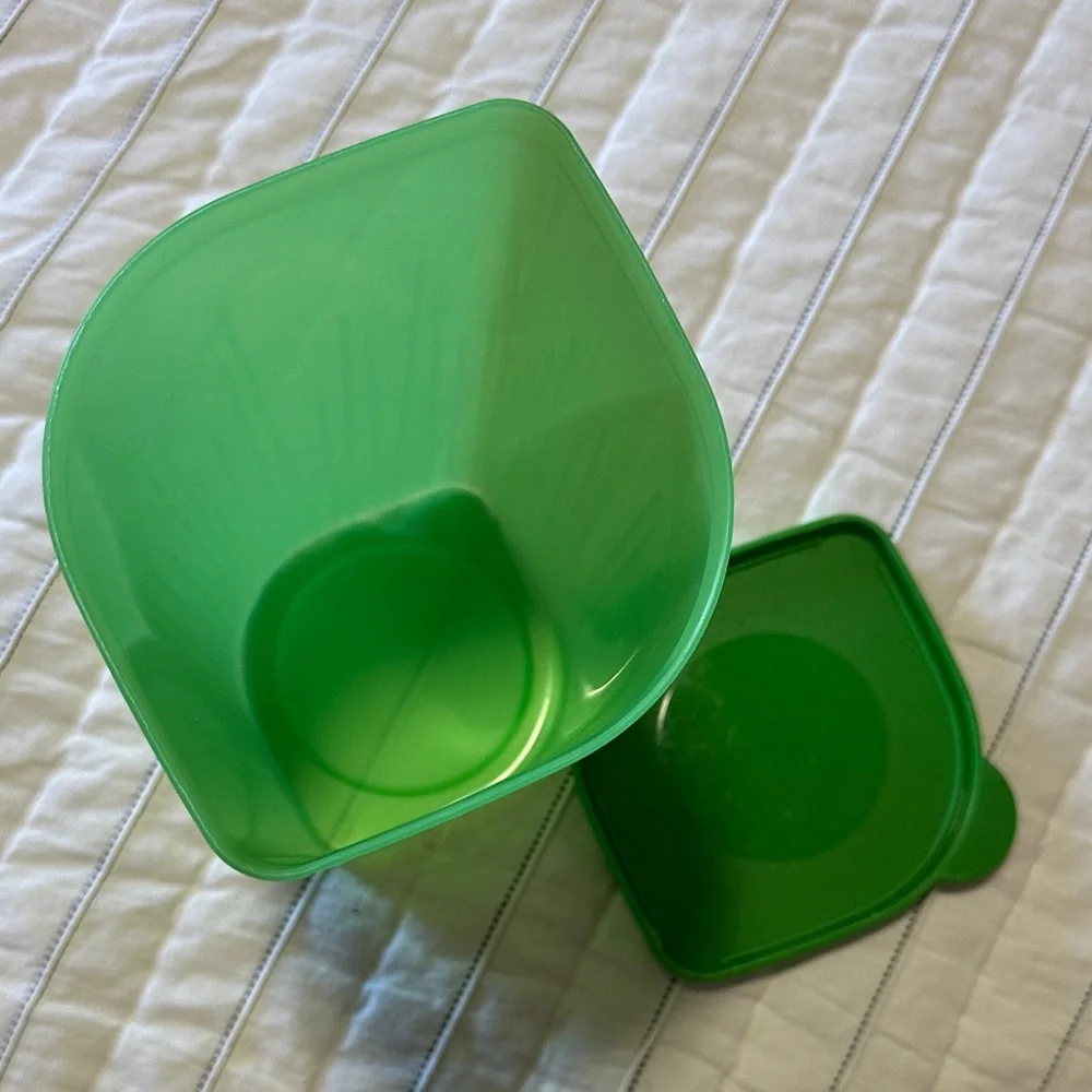 Tupperware Container - Picture 4 of 6